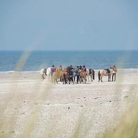 Three-bedroom Holiday In Blåvand