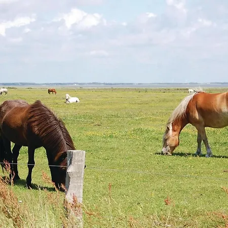 Three-bedroom Holiday In * Blåvand